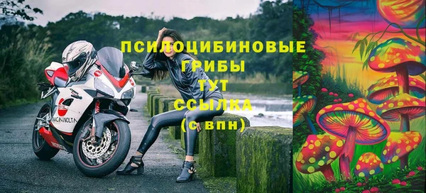 твердый Лабытнанги