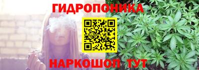 мдпв Рыбинск