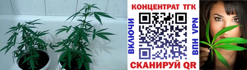 Дистиллят ТГК концентрат  ОМГ ОМГ ССЫЛКА  Тихорецк 