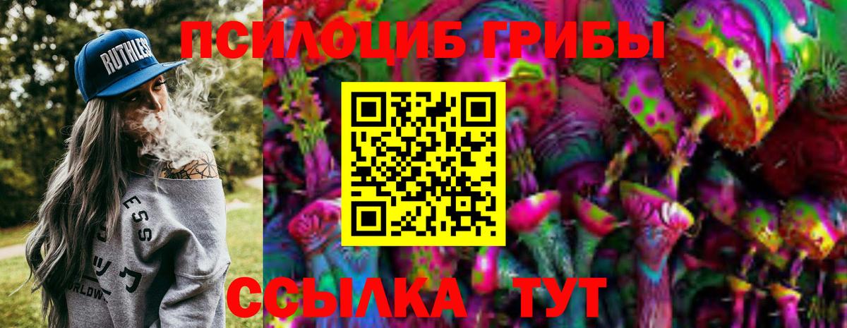 Псилоцибиновые грибы прущие грибы Тихорецк